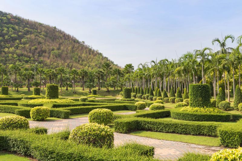 Shaping and Aesthetic Trimming