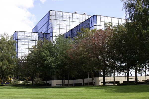 Commercial Tree Trimming in Englewood